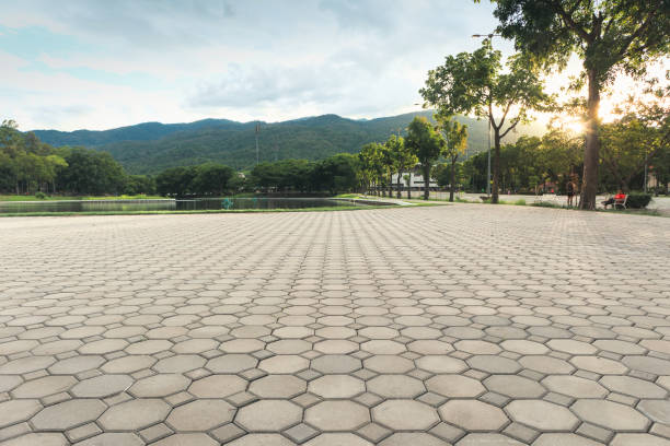 Best Commercial Driveway Pavers  in Humansville, MO